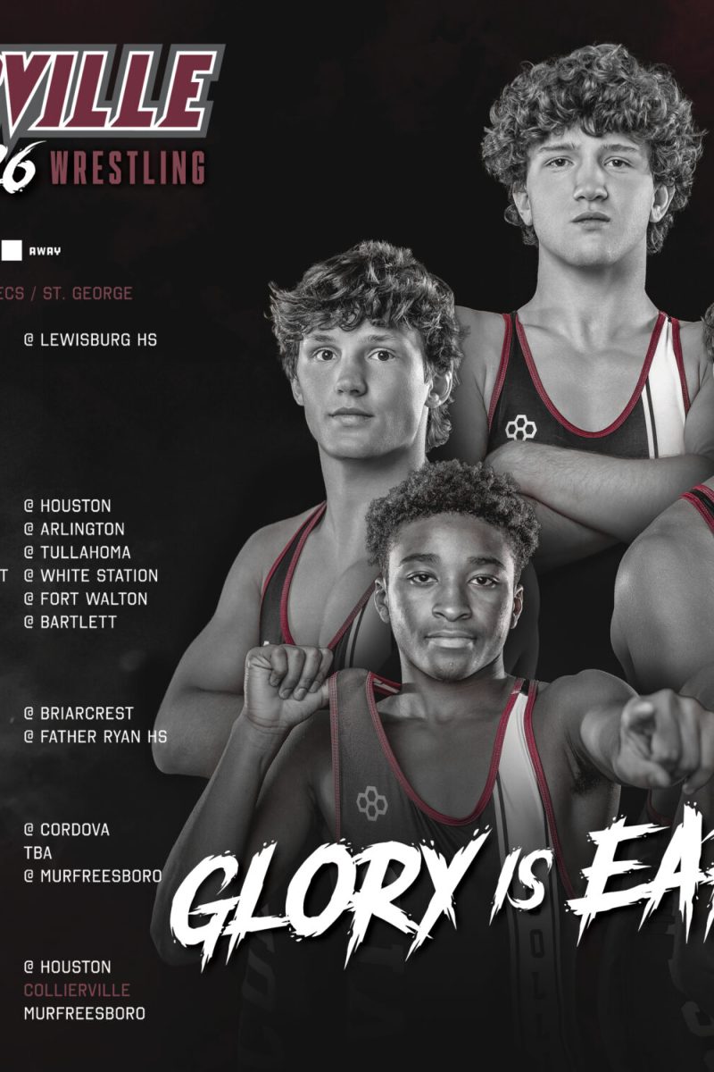 2025 CHS wrestling State Qualifiers